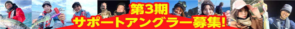 サポートアンブラー募集